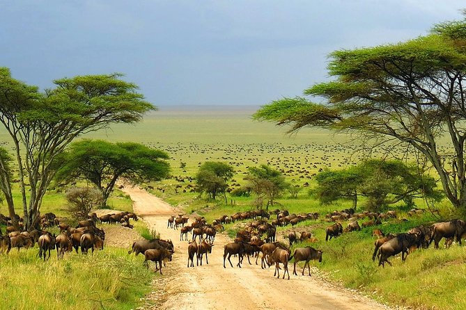 4 Day Kruger National Park and Panorama Route Safari - The Sum Up