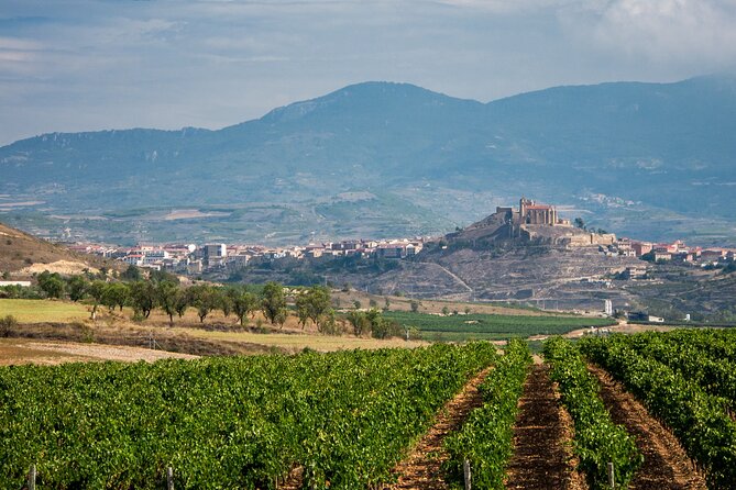 4 Day La Rioja and Basque Country Tour From Madrid With Hotel - Accommodation Details