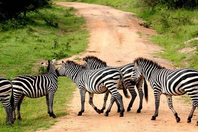 4 Day Lake Mburo Wildlife, Boat, and Cultural Safari - Cultural Immersion Experiences