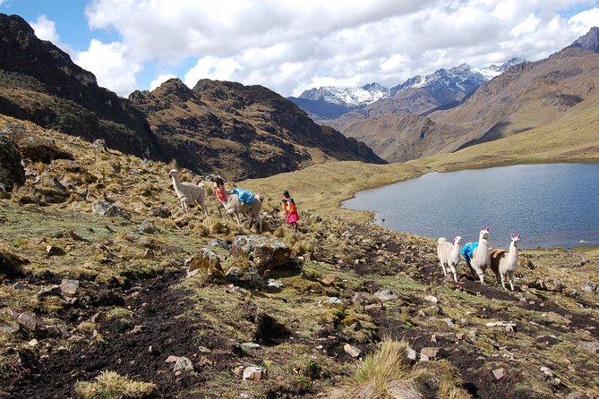 4 Day - Lares Trek to Machu Picchu - Group Service - Traveler Photos and Reviews