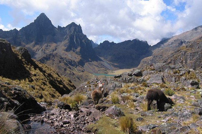 4 Day - Lares Trek to Machu Picchu - Group Service - The Sum Up