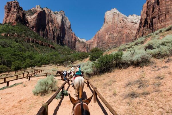 4-Day Las Vegas & the Western Deserts Tour From Los Angeles - Additional Information and Tour Details