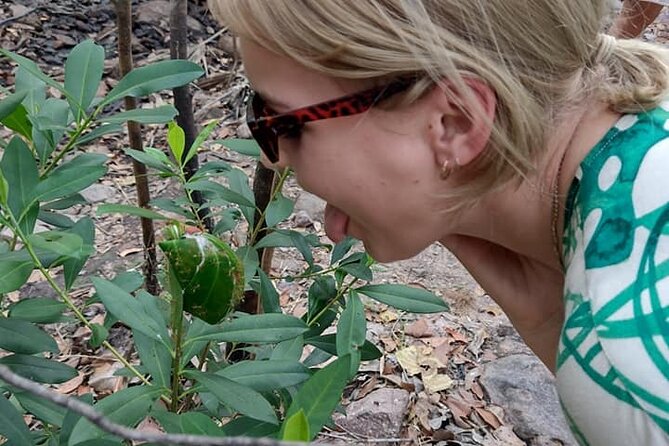 4-Day Litchfield, Katherine and Kakadu Guided Tour From Darwin - Accommodation and Transportation