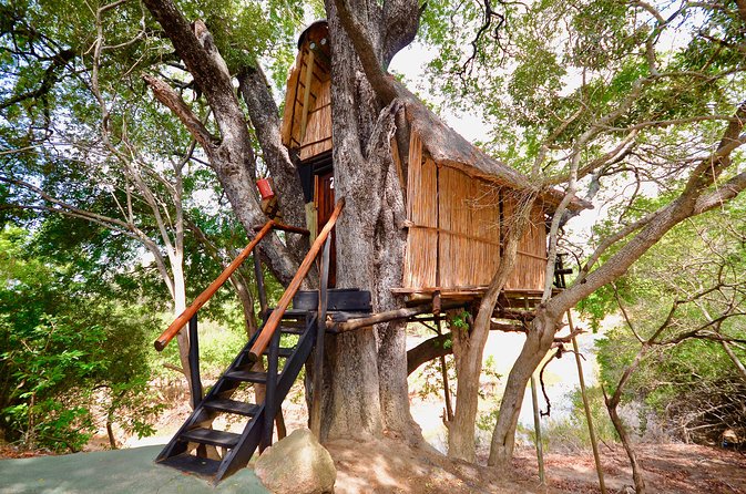 4 Day Lodge and Treehouse Kruger National Park Safari - Tour Highlights