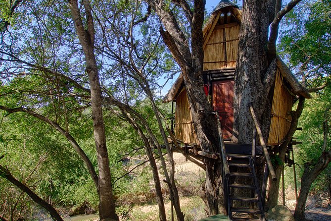 4 Day Lodge and Treehouse Kruger National Park Safari - Traveler Information