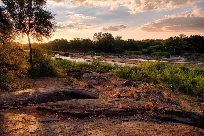 4 Day Lodge and Treehouse Kruger National Park Safari - Common Questions