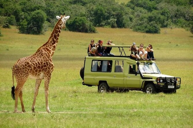4-Day Majestic Group Tour in Safari - Itinerary Details