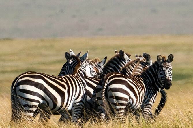 4-Day Majestic Group Tour in Safari - Frequently Asked Questions