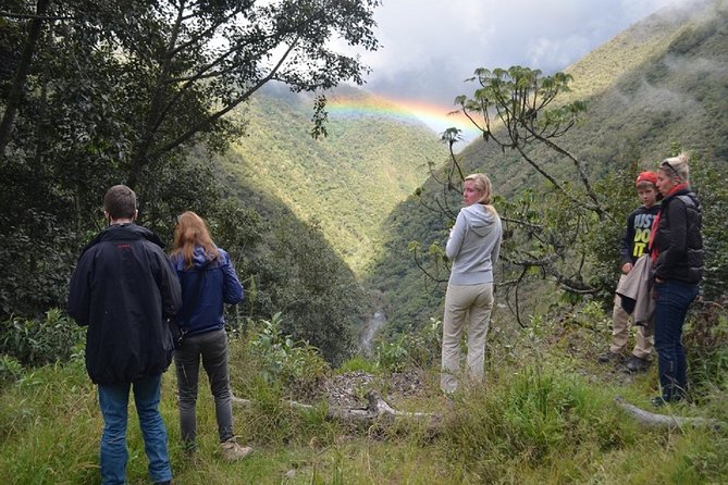 4-Day Manu Jungle Trip From Cusco - Trip Highlights