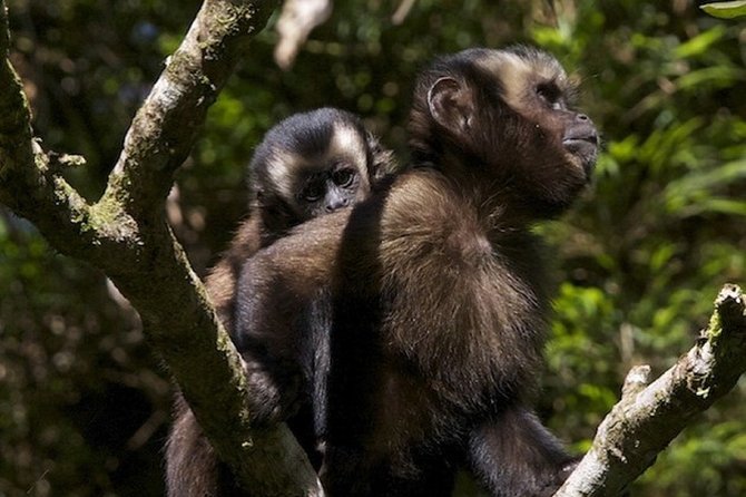 4-Day Manu Jungle Trip From Cusco - Whats Included