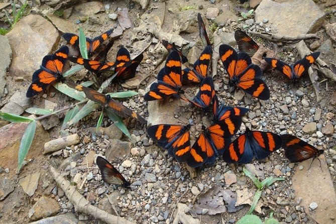 4-Day Manu Jungle Trip From Cusco - Trip Requirements and Policies