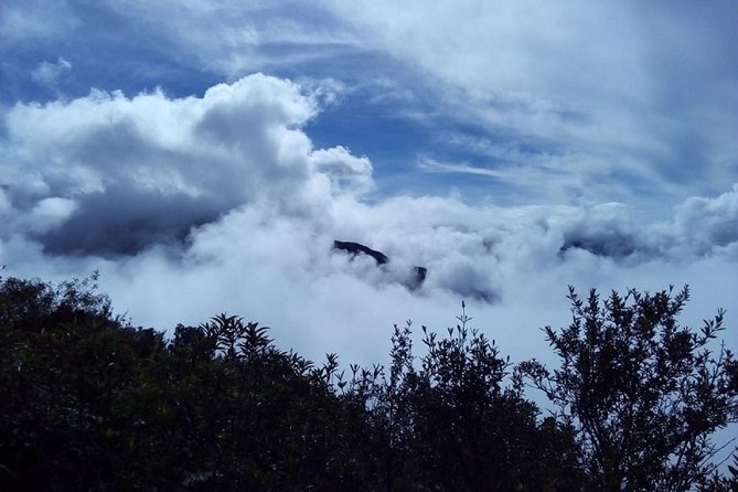 4-Day Manu Jungle Trip From Cusco - Additional Information and Support