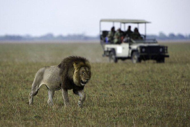 4-Day Manyara Serengeti and Ngorongoro Wonders Budget Safari Tour - Additional Information