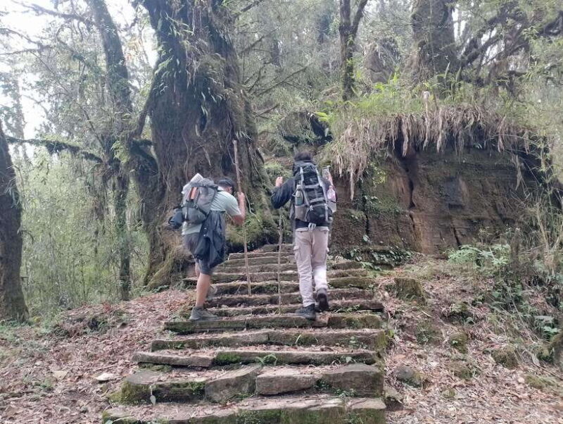 4 Day Mardi Himal Trek with 2 Day Chitwan Jungle Safari Tour - Good To Know