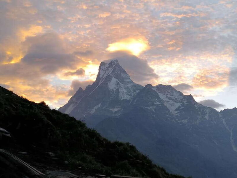 4 Day Mardi Himal Trek with 2 Day Chitwan Jungle Safari Tour - An In-Depth Look at the Tour Experience