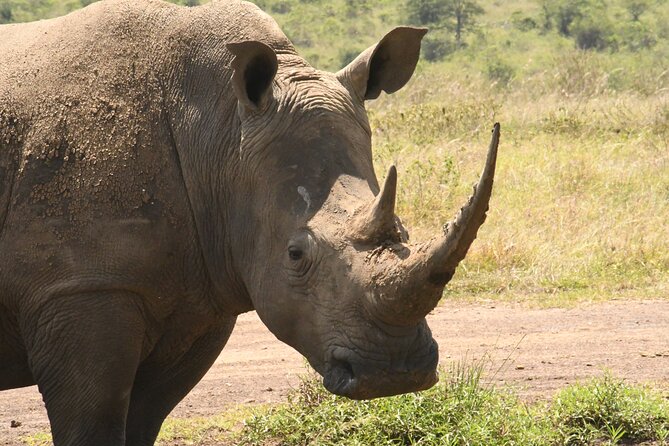 4-Day Masai Mara and Lake Nakuru Safari From Nairobi. - Cultural Experiences