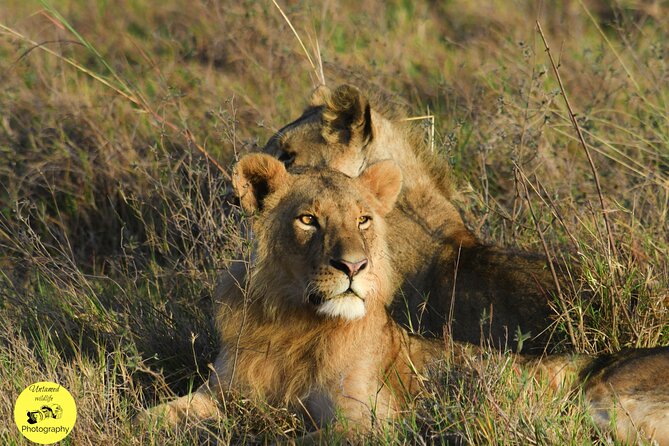 4-Day Masai Mara and Lake Nakuru Safari From Nairobi. - Dining and Cuisine