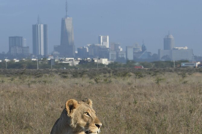 4-Day Masai Mara and Lake Nakuru Safari From Nairobi. - Frequently Asked Questions