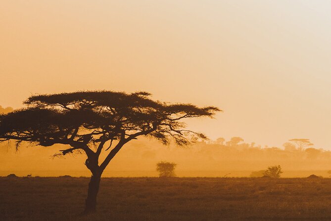 4-Day Masai Mara and Lake Nakuru Safari Tour From Nairobi - Additional Information