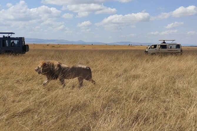 4-Day Masai Mara, L Naivasha and L Nakuru Safari - Safari Itinerary Details