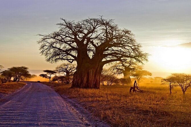 4-Day Mid-Range Lodge Group Tour - Accommodation Details