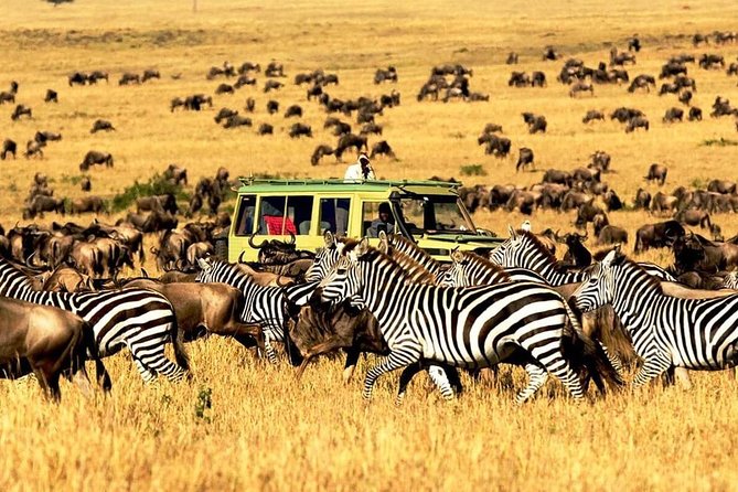 4 Day Mid-range Safari Serengeti , Ngorongoro and Tarangire National Park - Itinerary Highlights