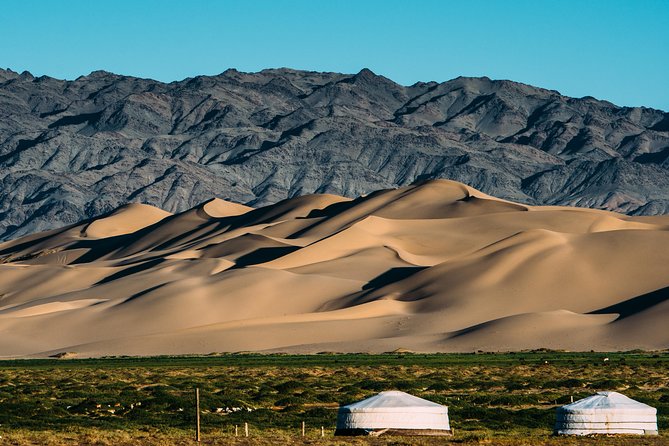 4-Day Mongolia Gobi Desert Tour - Reviews and Feedback