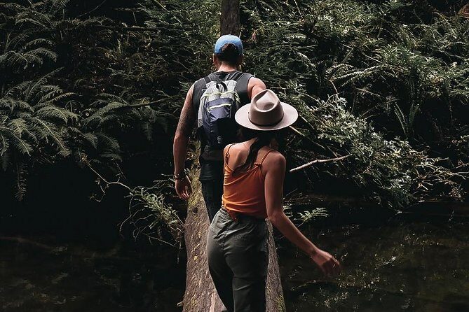 4 Day Mornington Peninsula Treks - Transportation and Practicalities