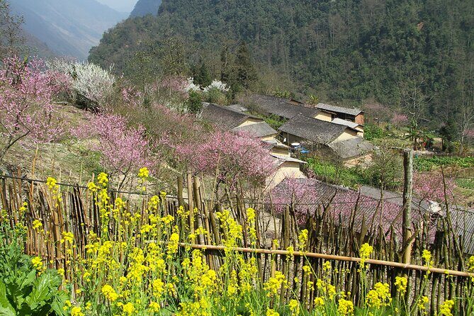 4-Day Motorbike Tour through Ha Giangs Wonders - FAQ