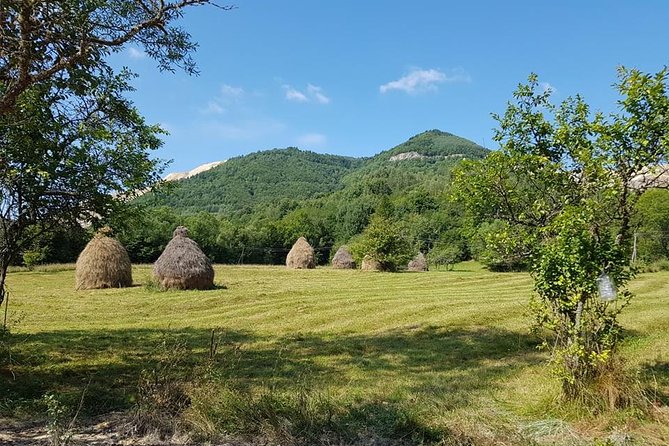4-Day Motorcycle Adventure Ride Through Transylvania From Cluj - Guide and Support Services