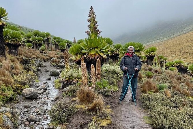 4-Day Mount Kenya Trekking With Pick up - Accommodation Details