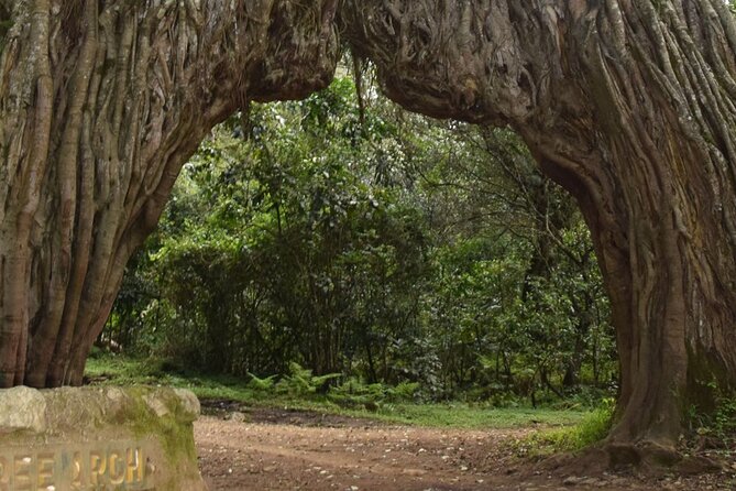 4-day Mount Meru Treks - The Sum Up