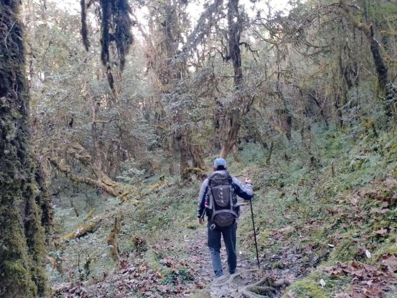 4-Day Mulde ,Poon Hill Trek Itinerary (Children-Friendly) - Good To Know