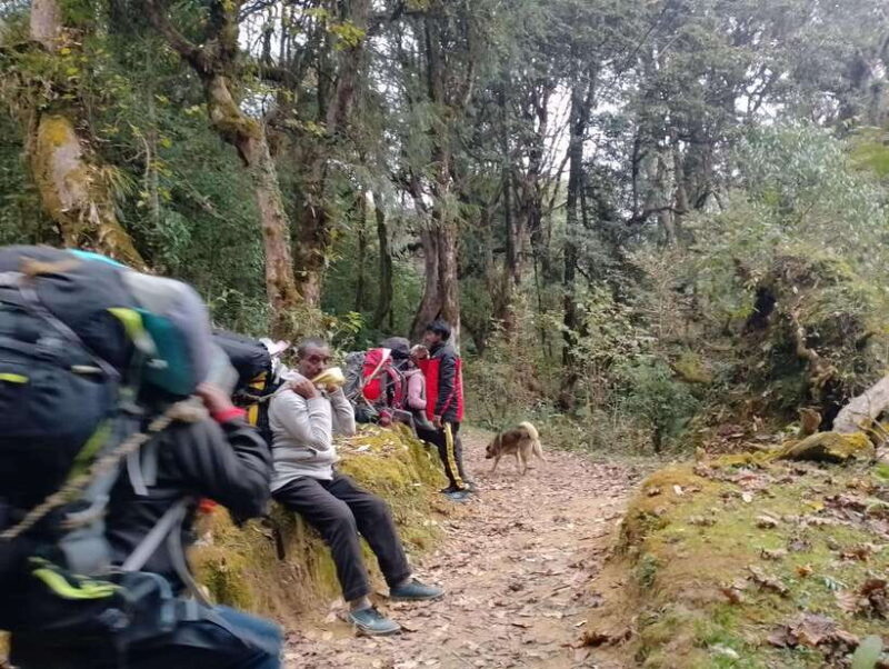 4-Day Mulde ,Poon Hill Trek Itinerary (Children-Friendly) - What Sets This Trek Apart