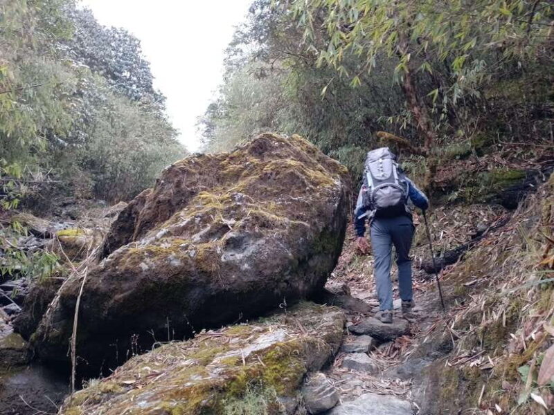 4-Day Mulde ,Poon Hill Trek Itinerary (Children-Friendly) - FAQ