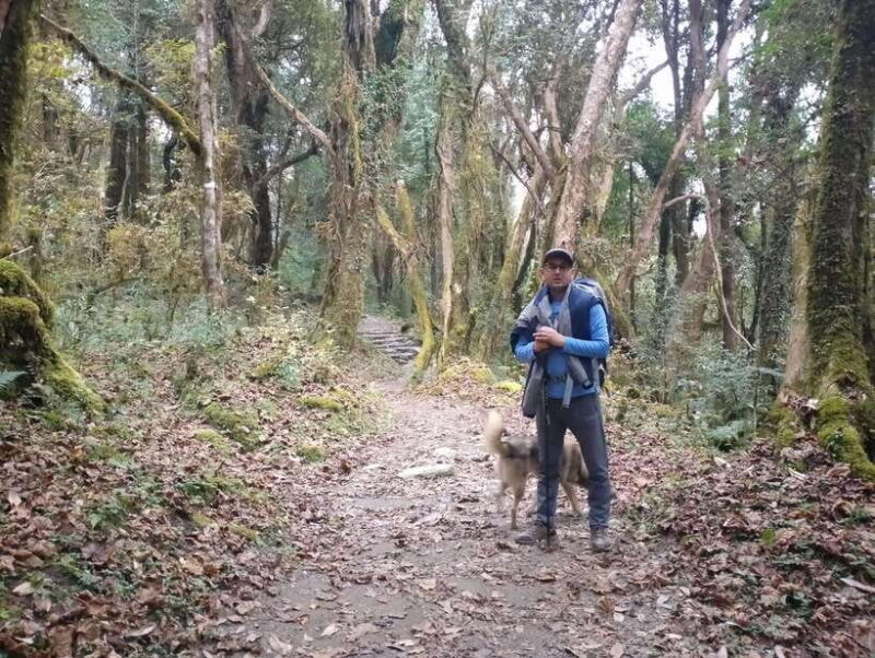 4-Day Mulde ,Poon Hill Trek Itinerary (Children-Friendly) - Introduction