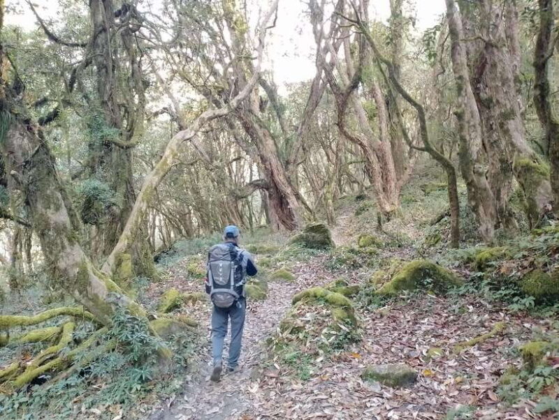 4-Day Mulde ,Poon Hill Trek Itinerary (Children-Friendly) - Practical Tips for Families