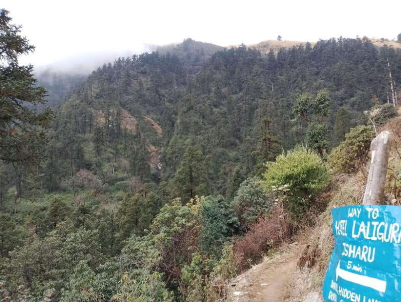 4-Day Mulde ,Poon Hill Trek Itinerary (Children-Friendly) - Why Choose This Trek?