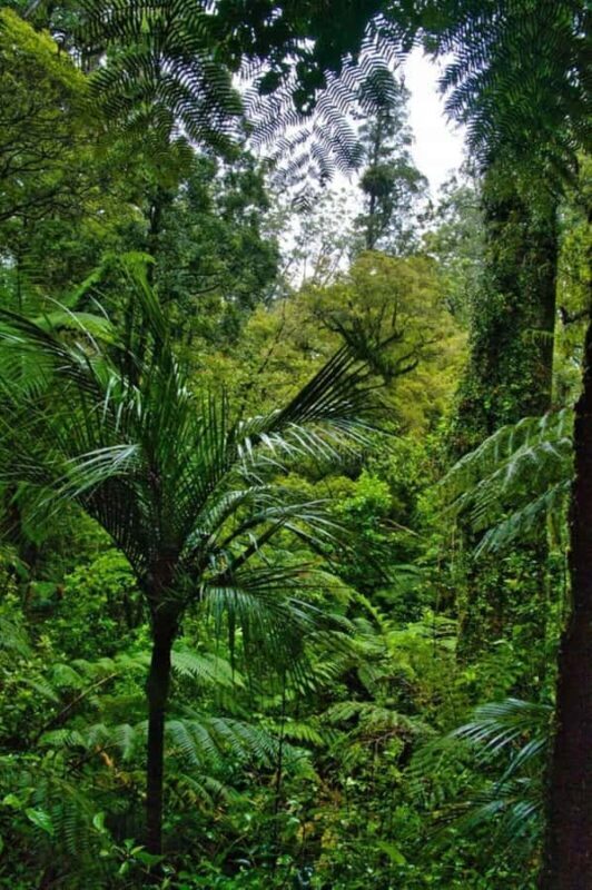 4-Day NabjiKorphu Wildlife Forest Eco Tour - Price & Value Analysis