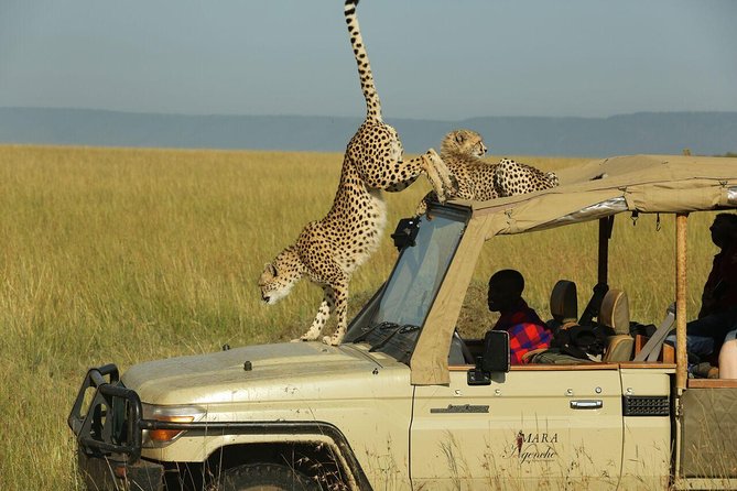 4-Day Nairobi & Maasai Mara Safari - Frequently Asked Questions