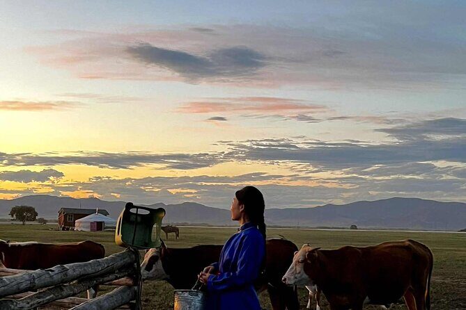 4 Day Nomadic Life Experience In Northern Mongolian - Authentic Mongolian Nomadic Life in Four Days: A Detailed Review