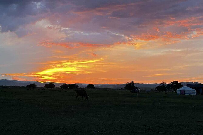 4 Day Nomadic Life Experience In Northern Mongolian - Final Words