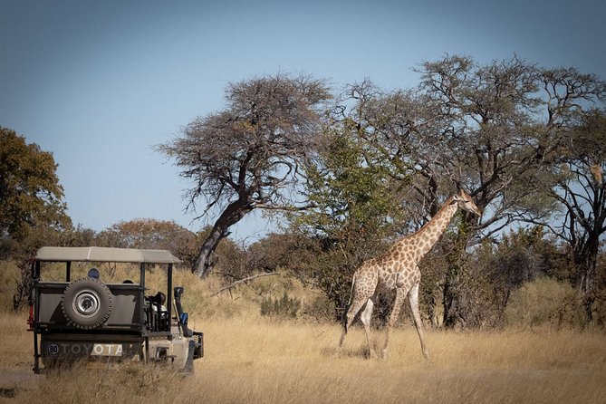 4-Day Okavango Delta & Boteti River Tented Safari - Pricing Details