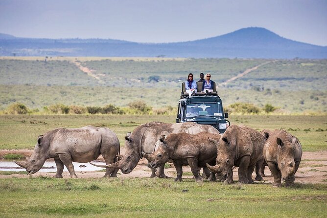 4-Day Ol Pejeta, Aberdare,& Solio Ranch Safari on 4x4 Jeep - Good To Know