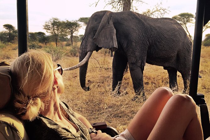 4-Day Ol Pejeta, Aberdare,& Solio Ranch Safari on 4x4 Jeep - Professional Guide and Tour Operator