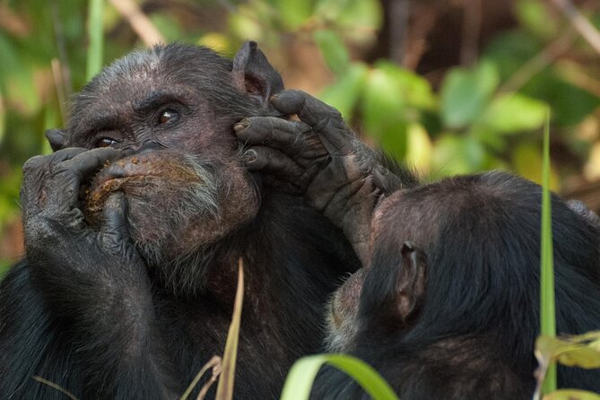 4-Day Ol Pejeta, Aberdare,& Solio Ranch Safari on 4x4 Jeep - Frequently Asked Questions