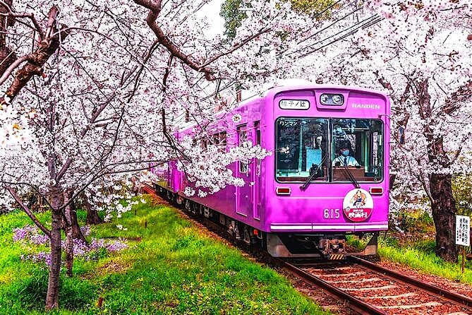 4-Day Private Kyoto Osaka Nara Sightseeing Tour With Guide - Tour Overview