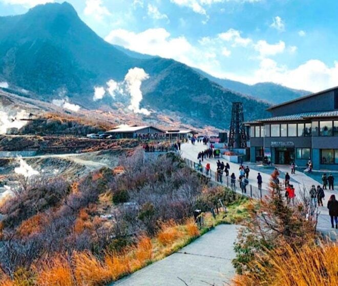 4-Day Private MT Fuji Tokyo Kamakura Hakone Nikko Yokohama - Language Options