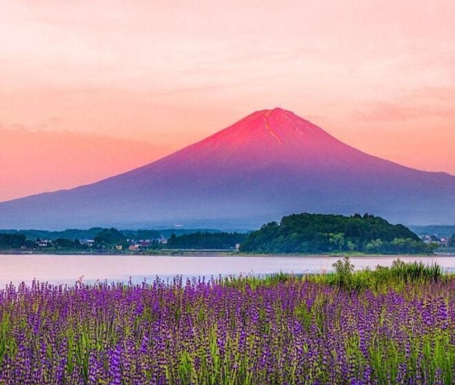 4-Day Private MT Fuji Tokyo Kamakura Hakone Nikko Yokohama - Pickup Information