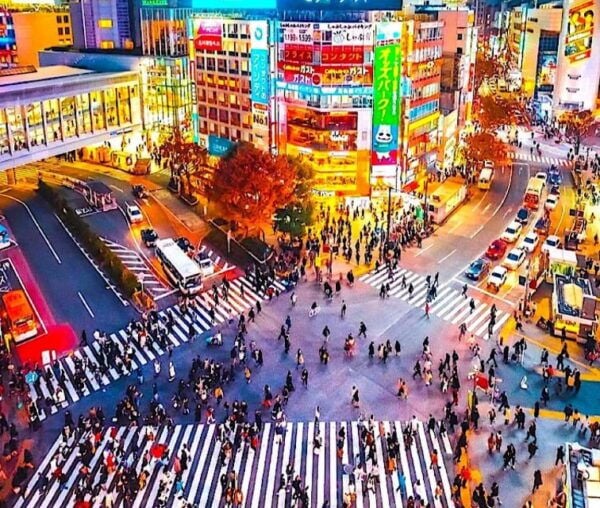 4-Day Private MT Fuji Tokyo Kamakura Hakone Nikko Yokohama - Travel Tips
